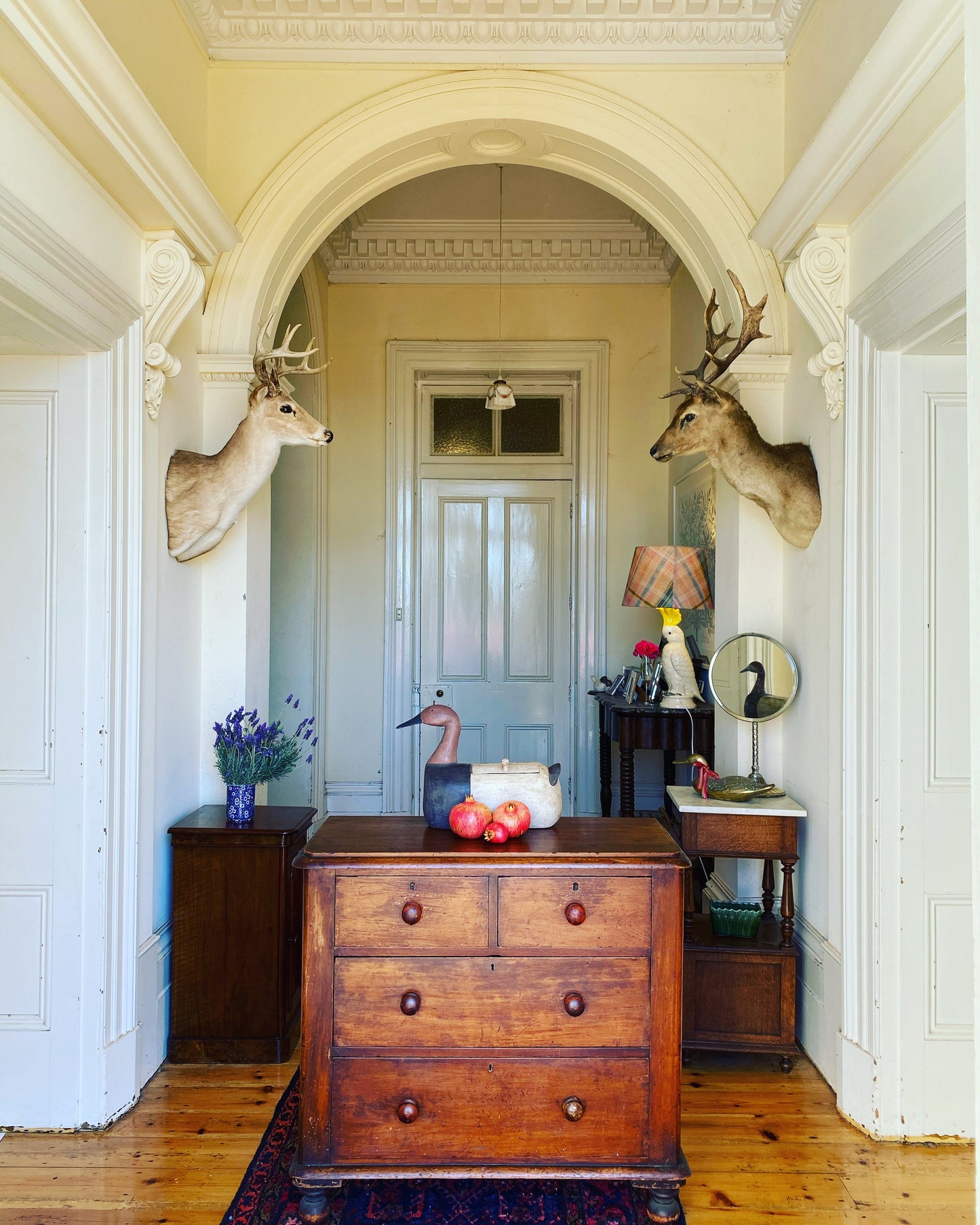Antique cedar chest of drawers