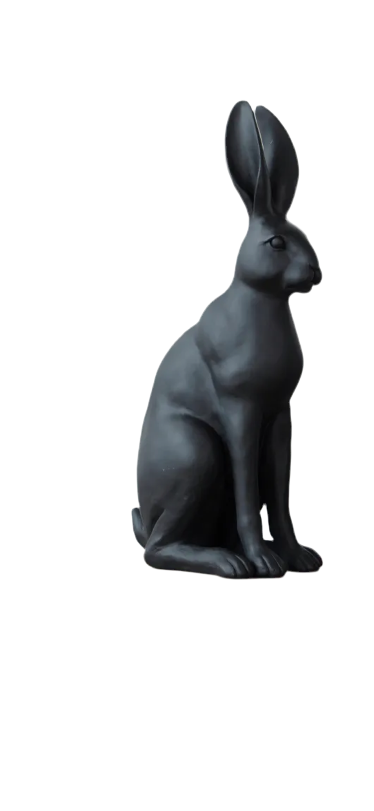 Harold the hare BLACK