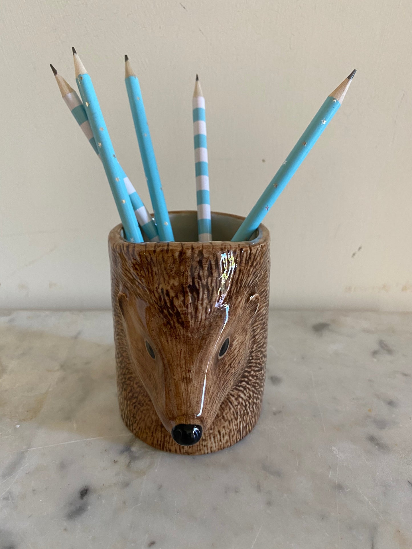 Hedgehog Pencil Holder