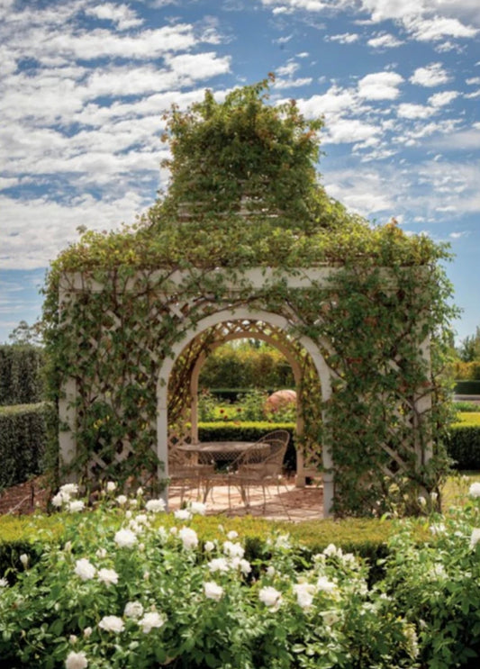 Paul Bangay - A Life in Garden Design