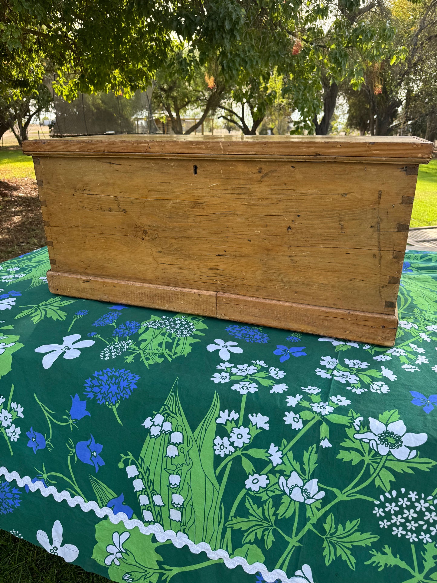 Antique pine trunk