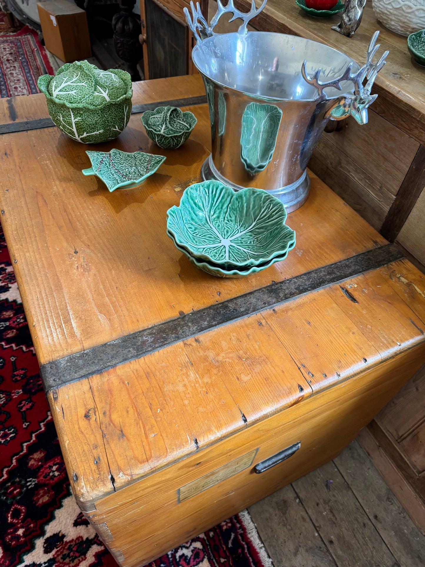 Enormous old pine trunk