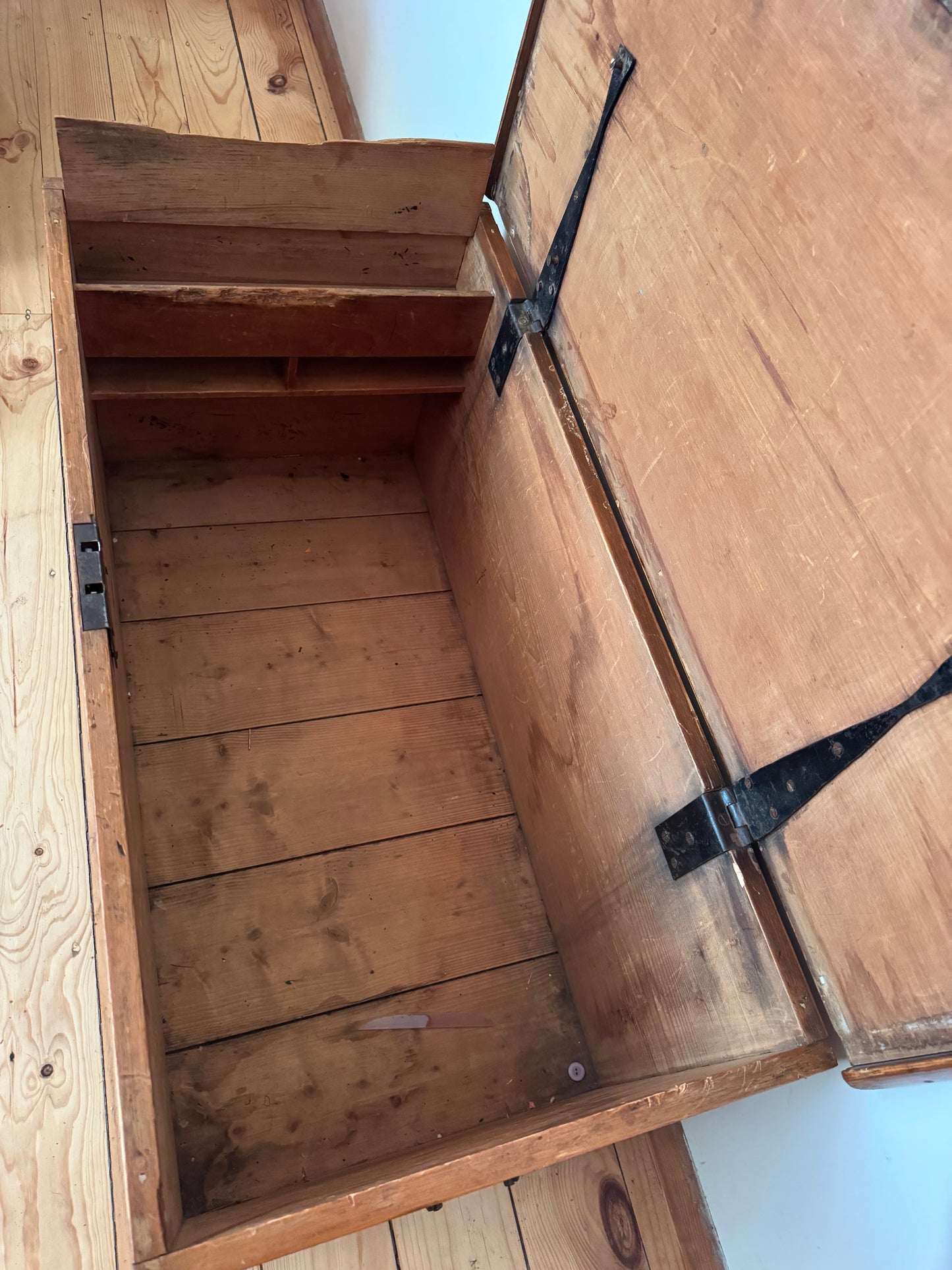 Gorgeous old Baltic pine trunk