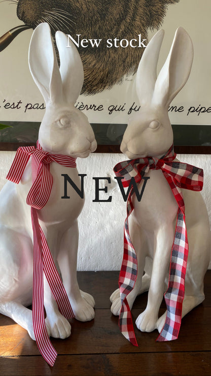 Harold the Hare White