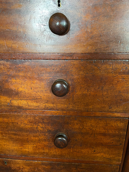 Cedar chest of drawers with fabulous patina