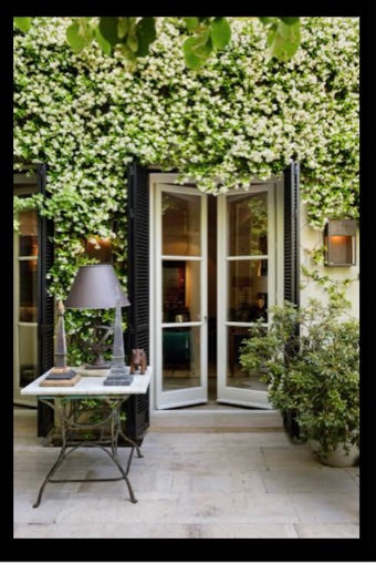 Book - Isabel Lopez-Quesada at Home