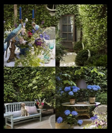 Book - Isabel Lopez-Quesada at Home