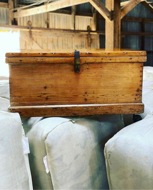Antique English pine trunk