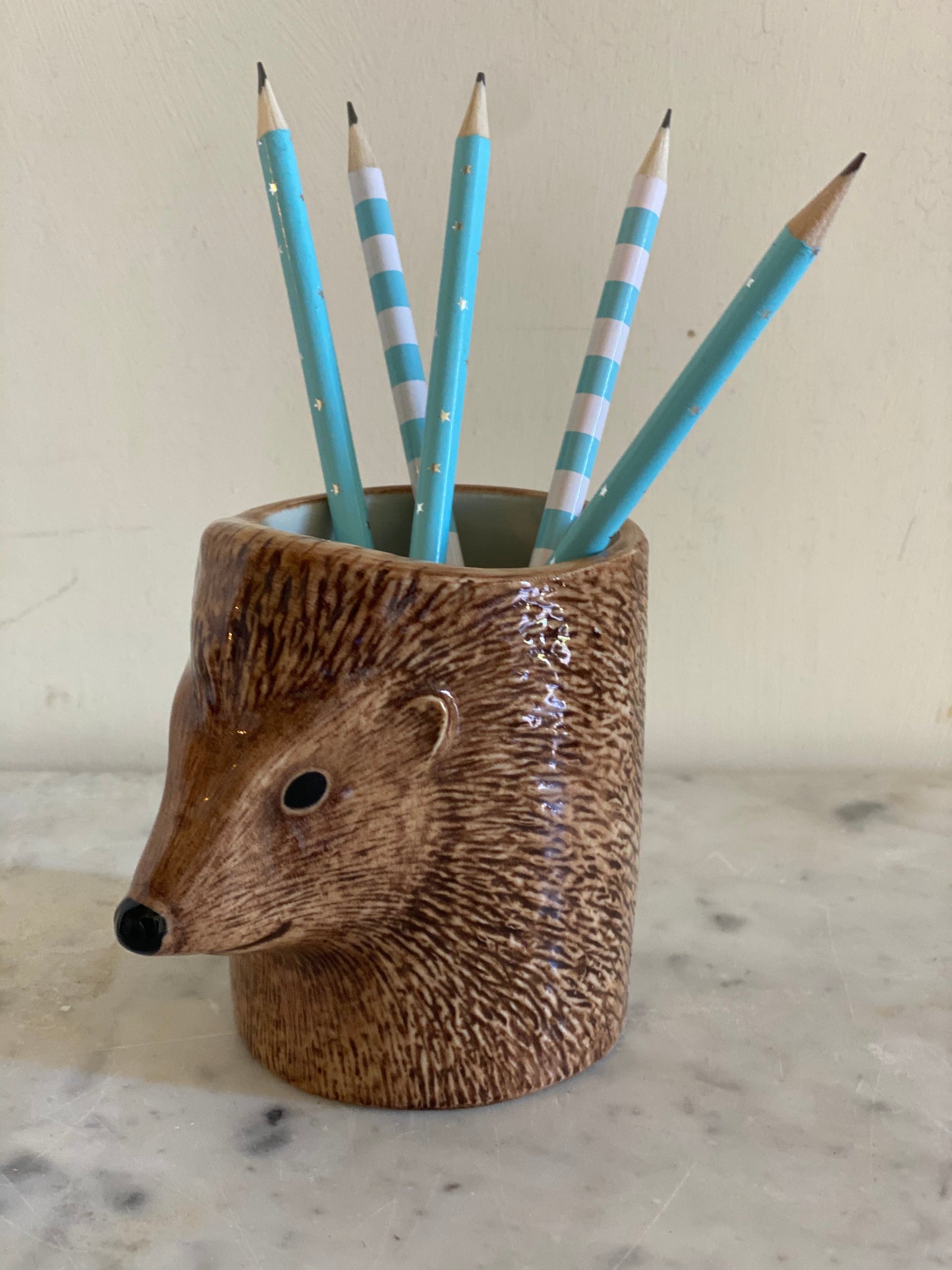 Hedgehog Pencil Holder
