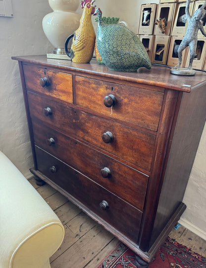 Cedar chest of drawers with fabulous patina