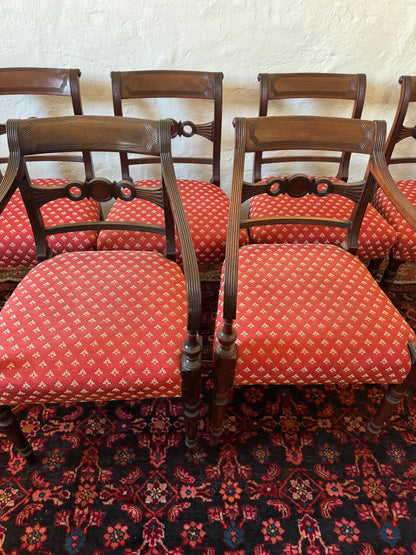 Set of six Georgian style mahogany chairs