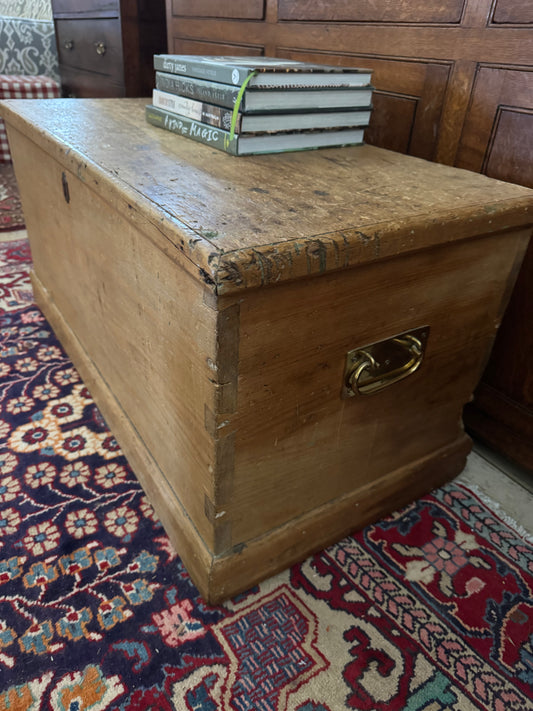 Antique Baltic pine trunk