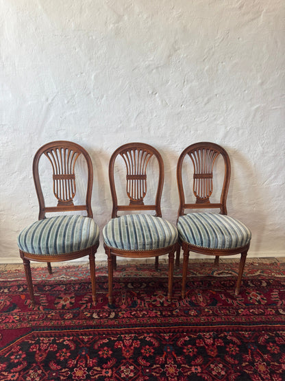 Antique French Lyrebird chairs