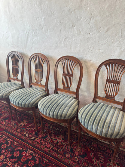 Antique French Lyrebird chairs