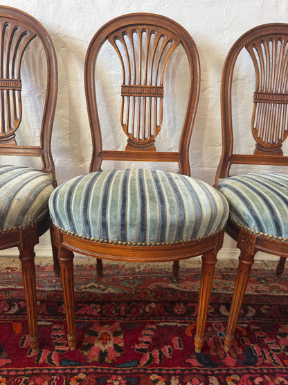Antique French Lyrebird chairs