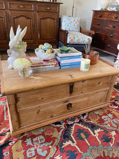 Huge antique pine trunk