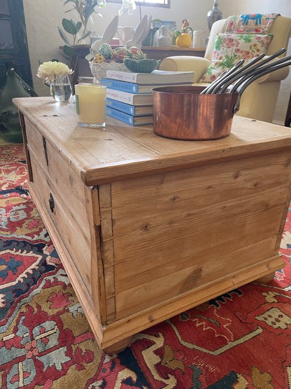 Huge antique pine trunk