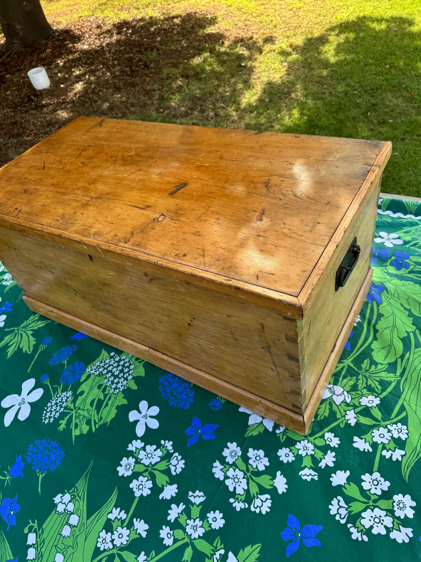 Antique pine trunk