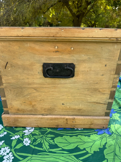 Antique pine trunk