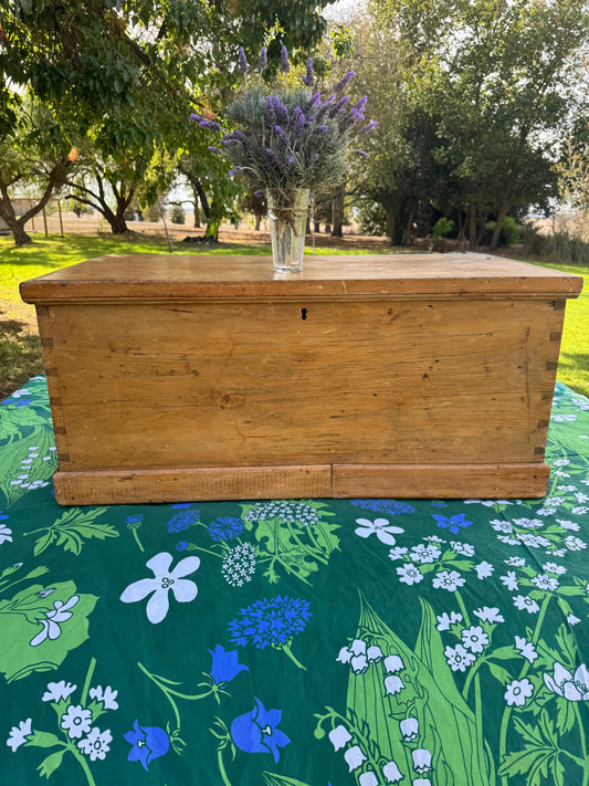 Antique pine trunk