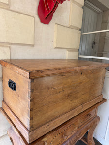Antique pine trunk