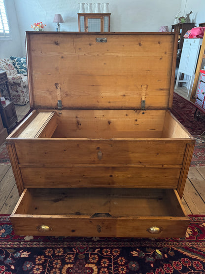 Victorian English Baltic Pine Chest