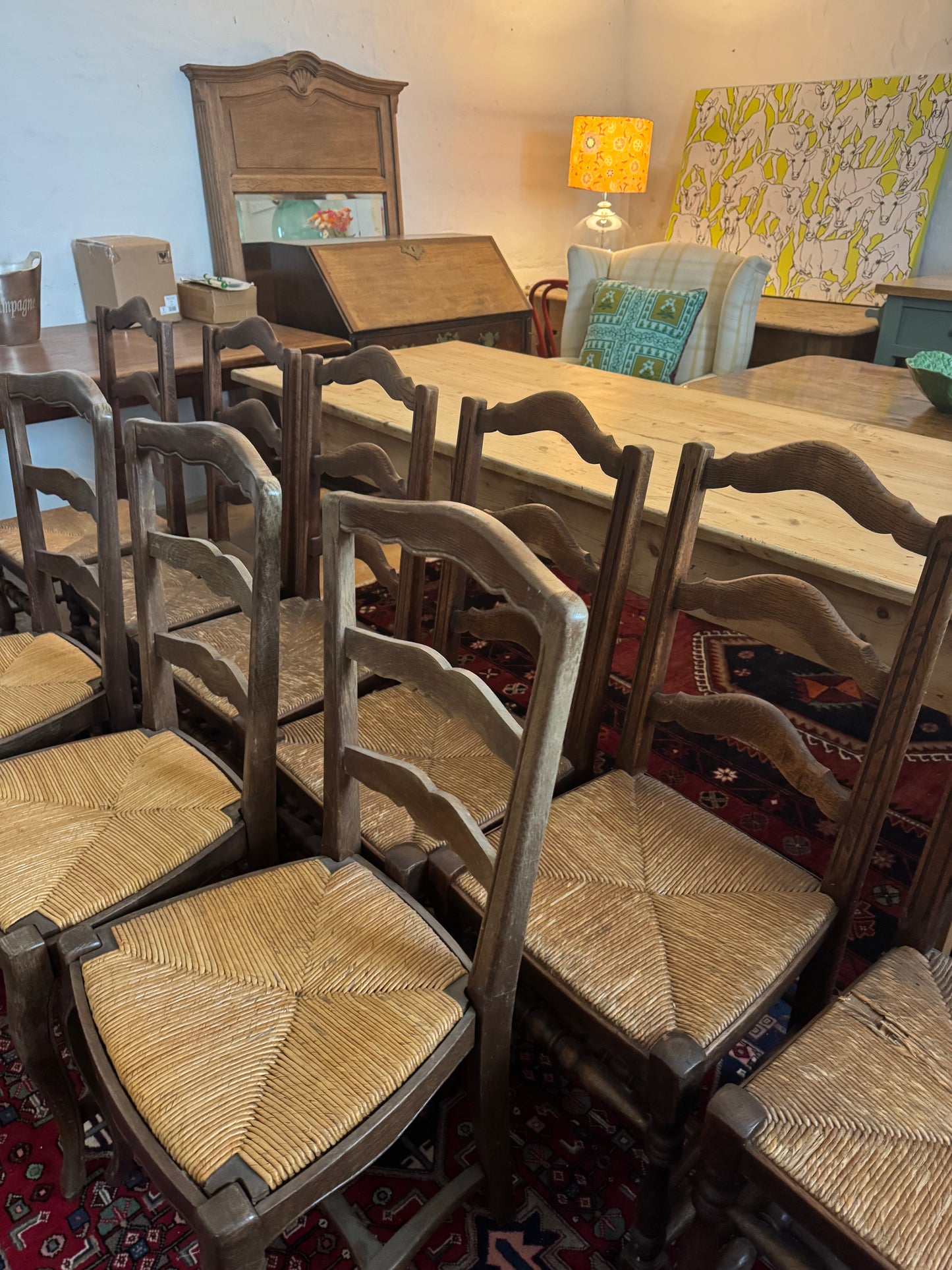 Set of 9 ladderback chairs