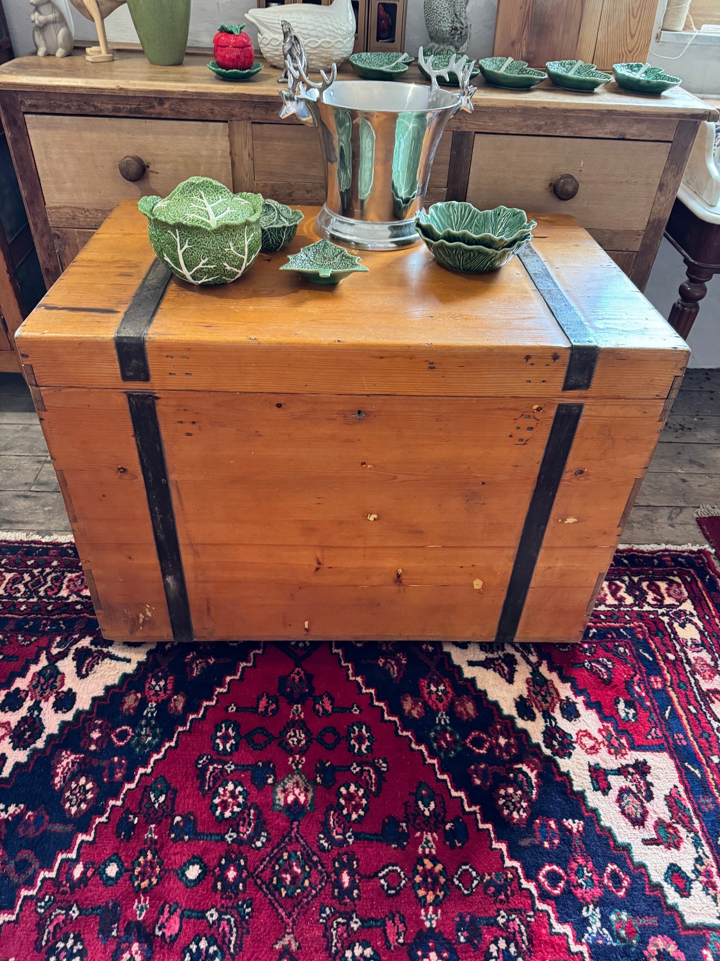 Enormous old pine trunk