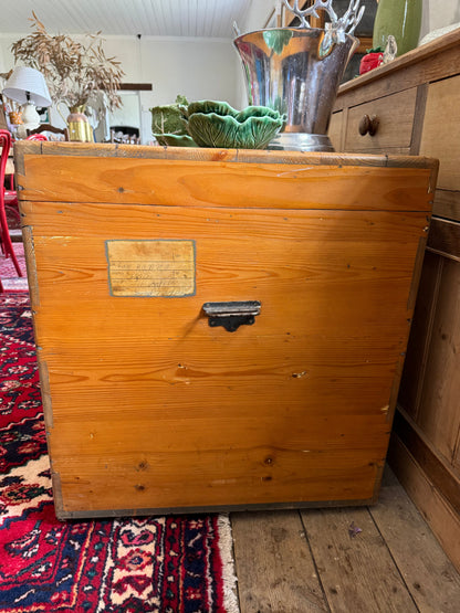 Enormous old pine trunk