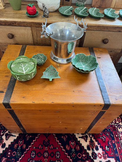 Enormous old pine trunk