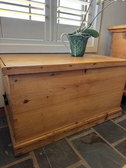 Raw pine antique trunk