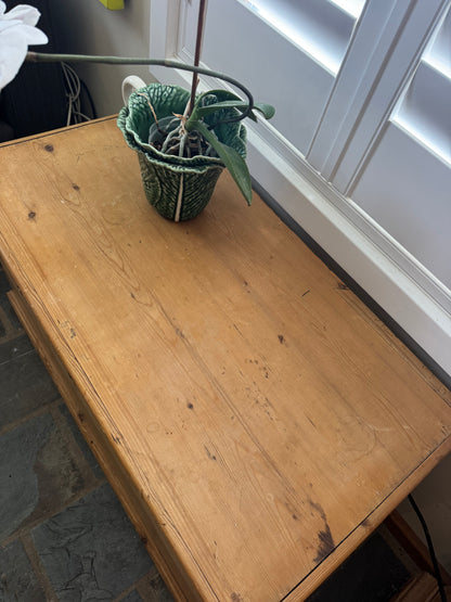 Raw pine antique trunk