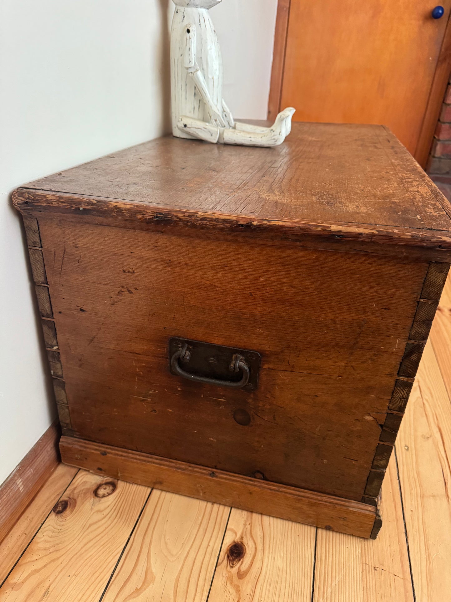 Gorgeous old Baltic pine trunk