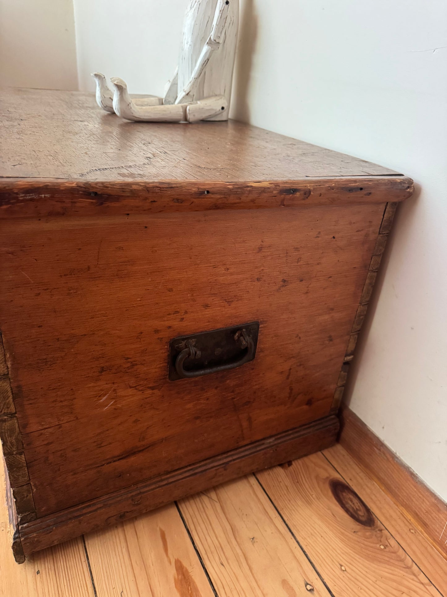 Gorgeous old Baltic pine trunk