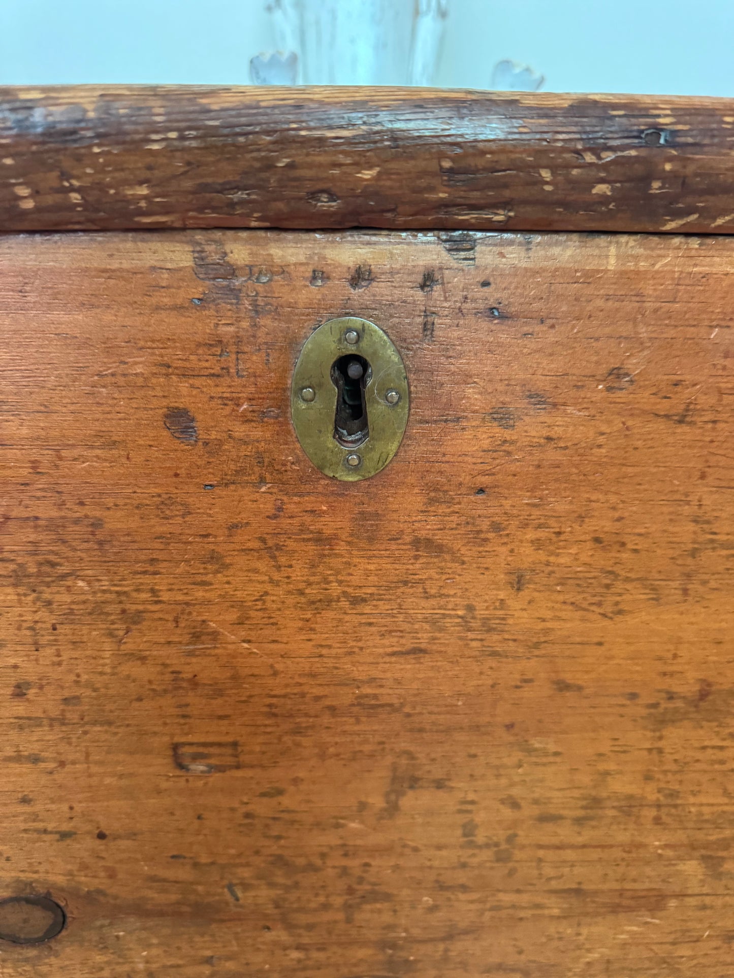 Gorgeous old Baltic pine trunk