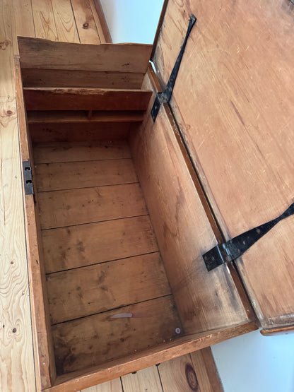 Gorgeous old Baltic pine trunk