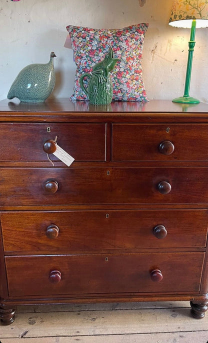 Australian cedar chest of 5 drawers