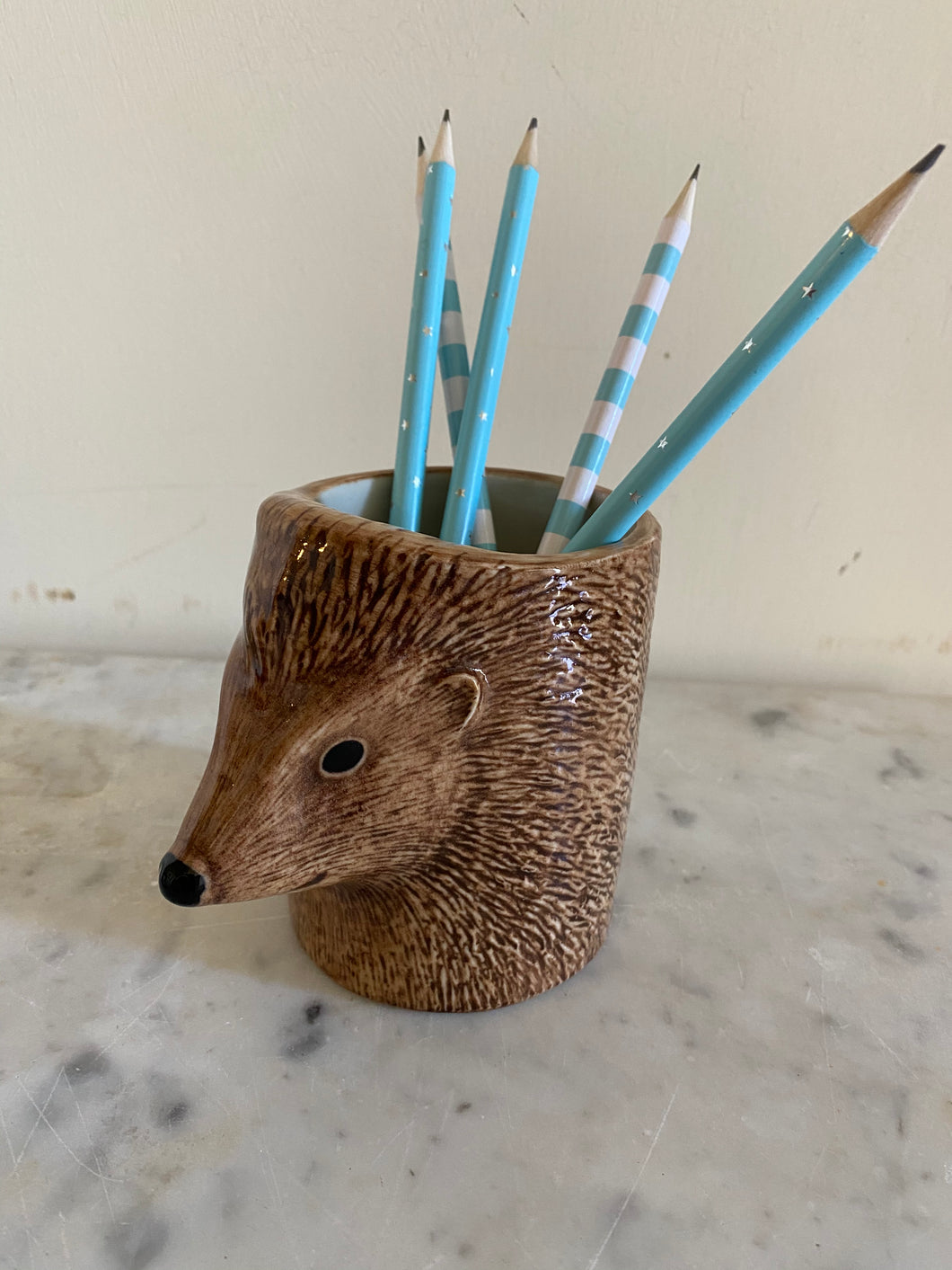 Hedgehog Pencil Holder